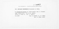 Ustilago turcomanica image